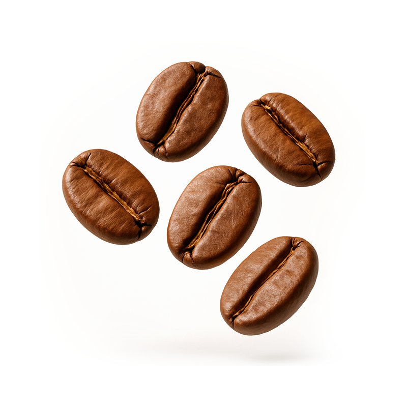 A close-up of five roasted coffee beans floating against a white background.
