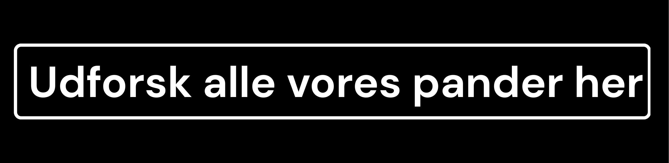 White text on black background saying 'Udforsk alle vores pander her'.
