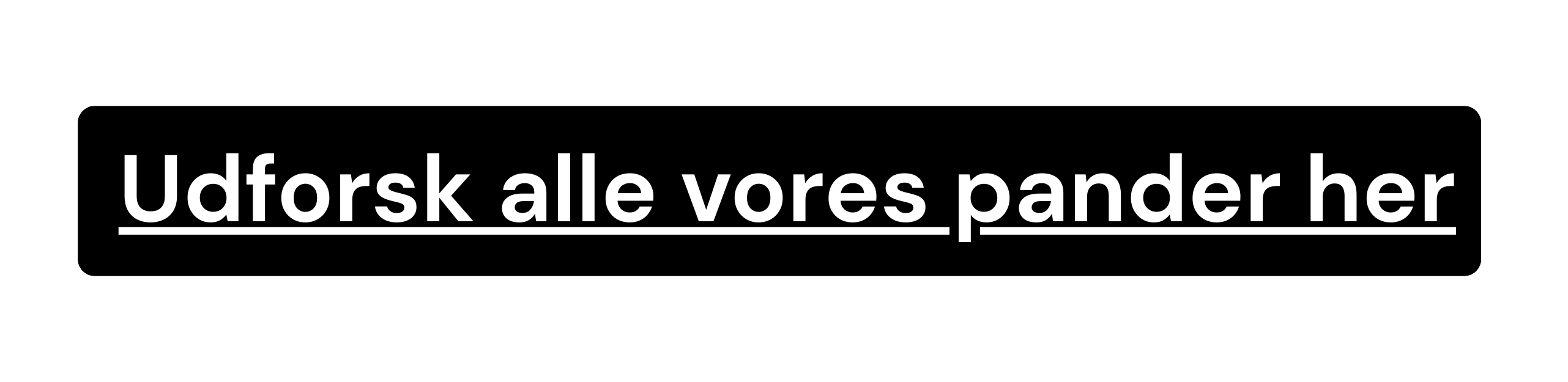 Text in Danish on black background: 'Udforsk alle vores pander her'.