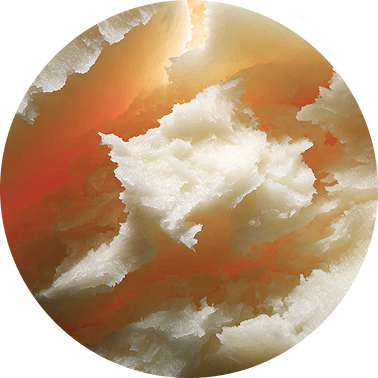 A circular, abstract close-up of a soft, torn white texture with orange and tan undertones.