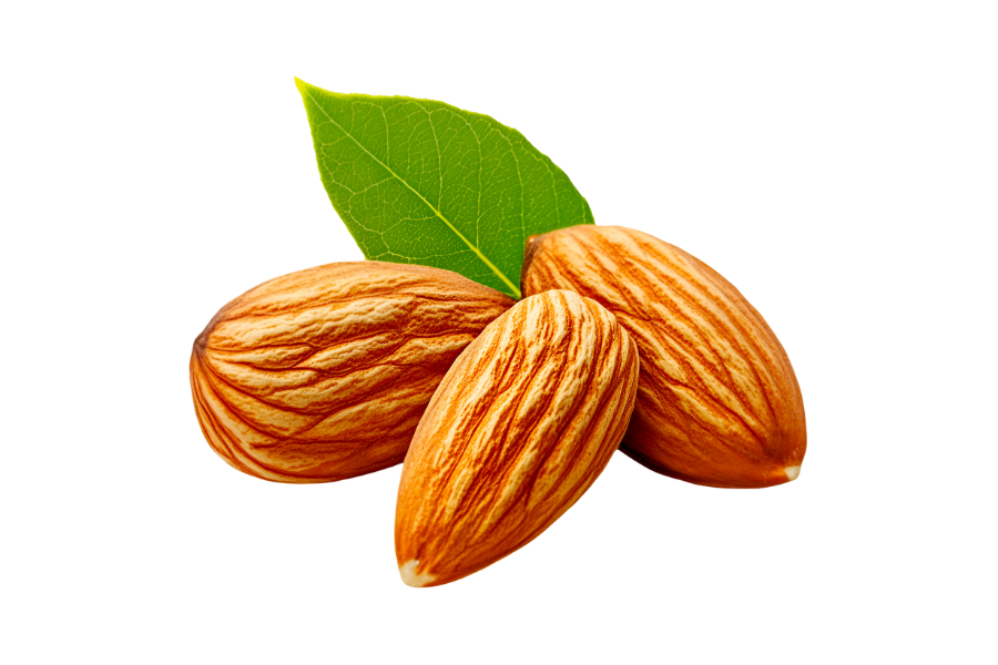 Three almonds with a green leaf on a white background.