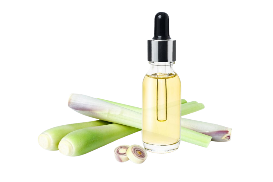 A dropper bottle with lemongrass stalks and slices.