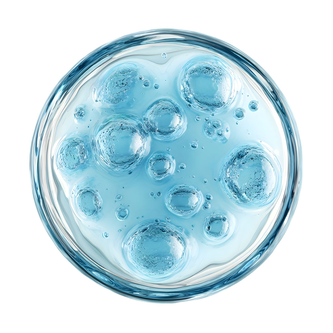 A top-down view of a petri dish containing a light blue gel with many bubbles of varying sizes.
