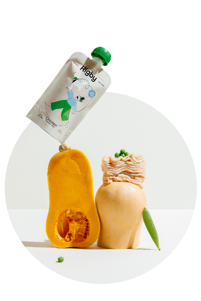 Food pouch with vegetables and chicken mince on a white background.