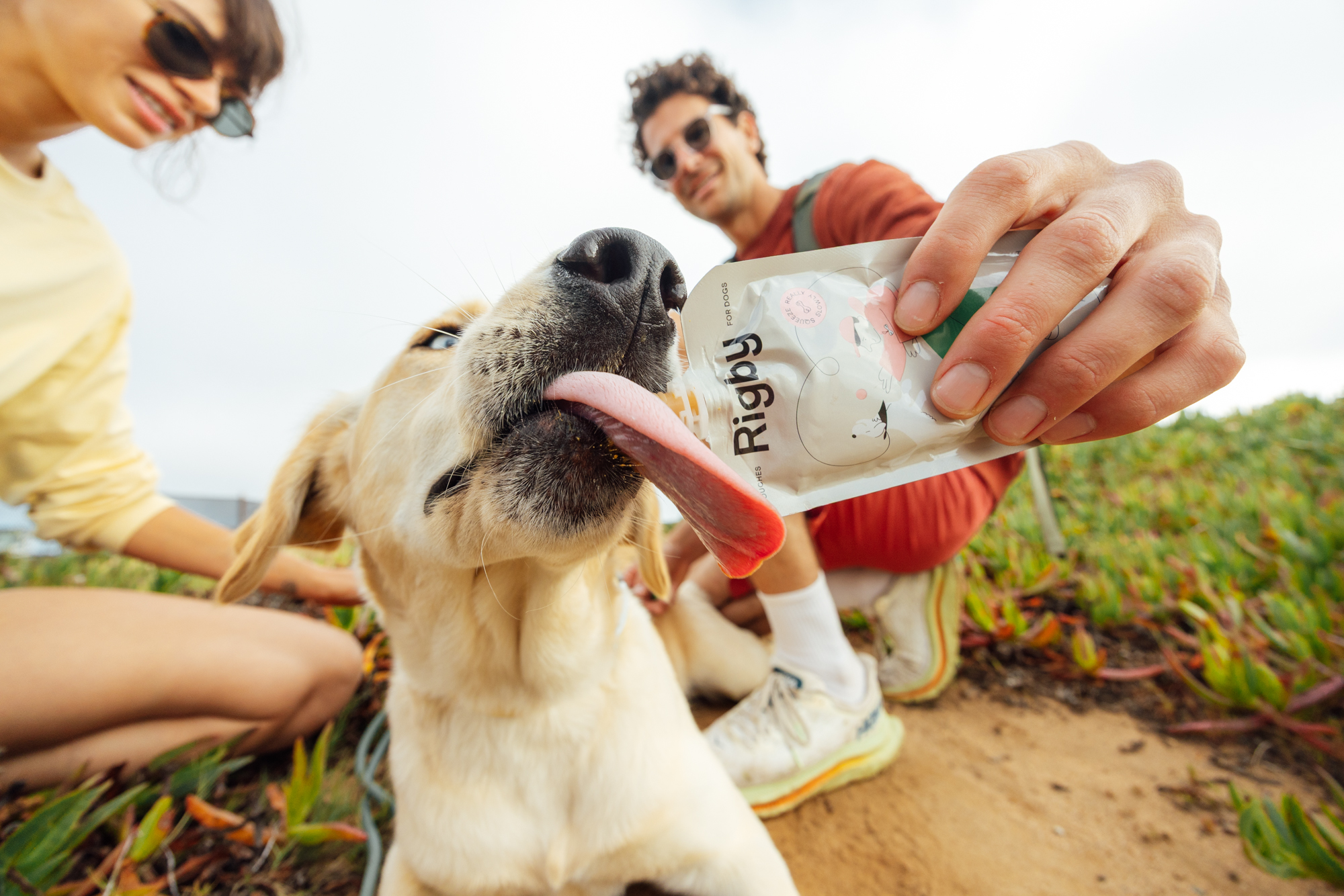 A low-angle close-up of a dog licking a food pouch held by a person outdoors.