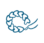 Illustration of a shrimp in blue and white.