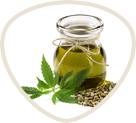 Jar of oil with hemp leaves and seeds beside it.