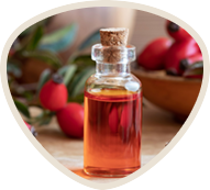 Glass bottle with cork containing amber liquid, surrounded by red berries.