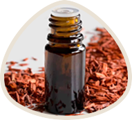 A small bottle of oil surrounded by brown wood shavings.