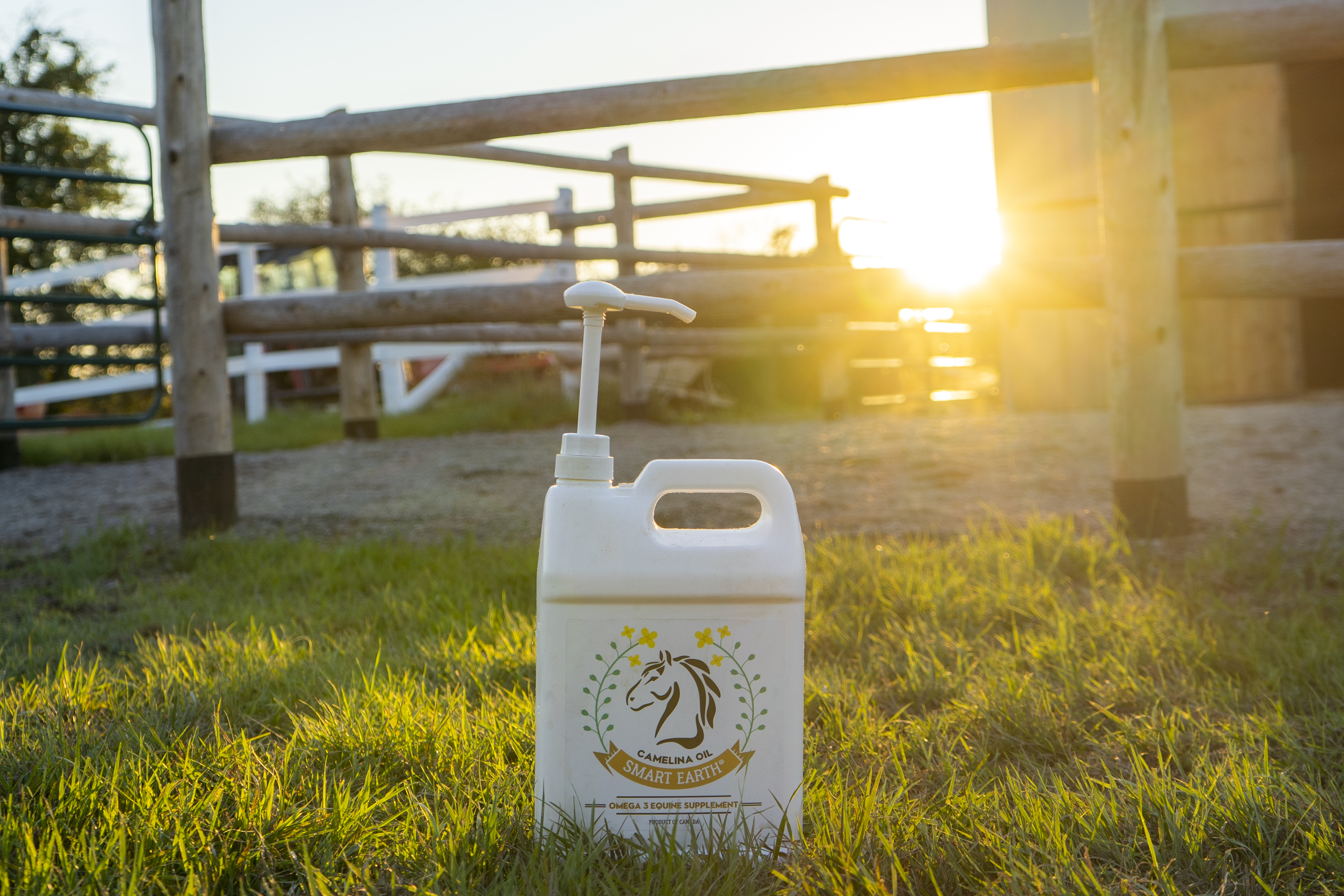 Smart Earth Camelina Oil product at sunset with arena background
