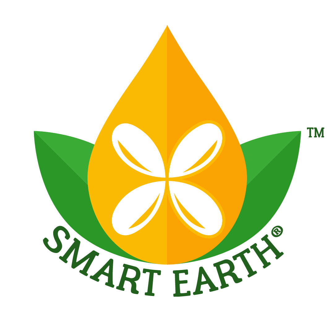 Smart Earth Logo