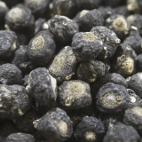Close-up of textured dark round objects with light patches.