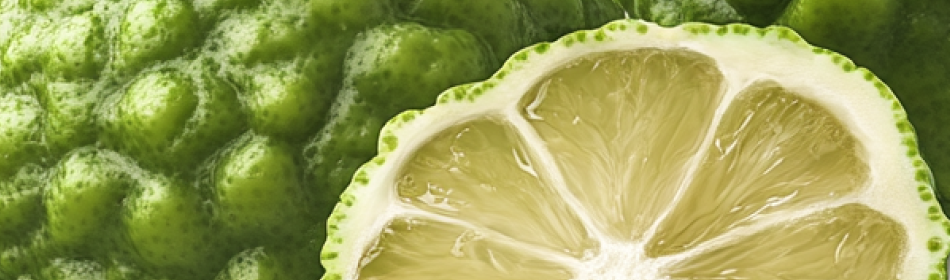 Close-up of a cut green fruit with bumpy skin.