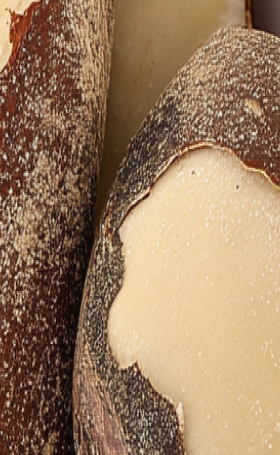 Close-up of sliced root vegetable with brown skin.