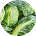Close-up of fresh green Brussels sprouts with leaves.