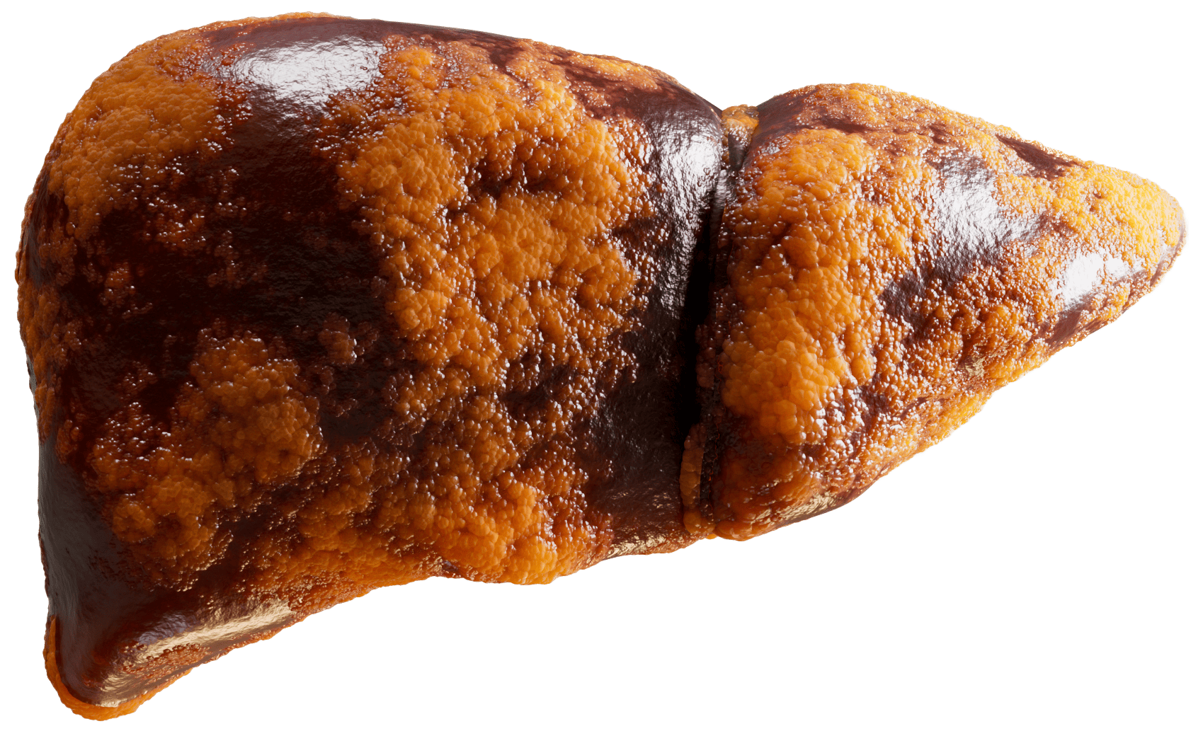 A shiny, textured object with brown and orange colors against a plain background.