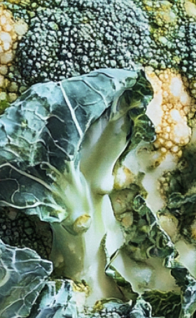 Close-up of a leafy vegetable, possibly broccoli, with textured green leaves and florets.