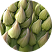 Close-up of green artichoke leaves in a circular frame.