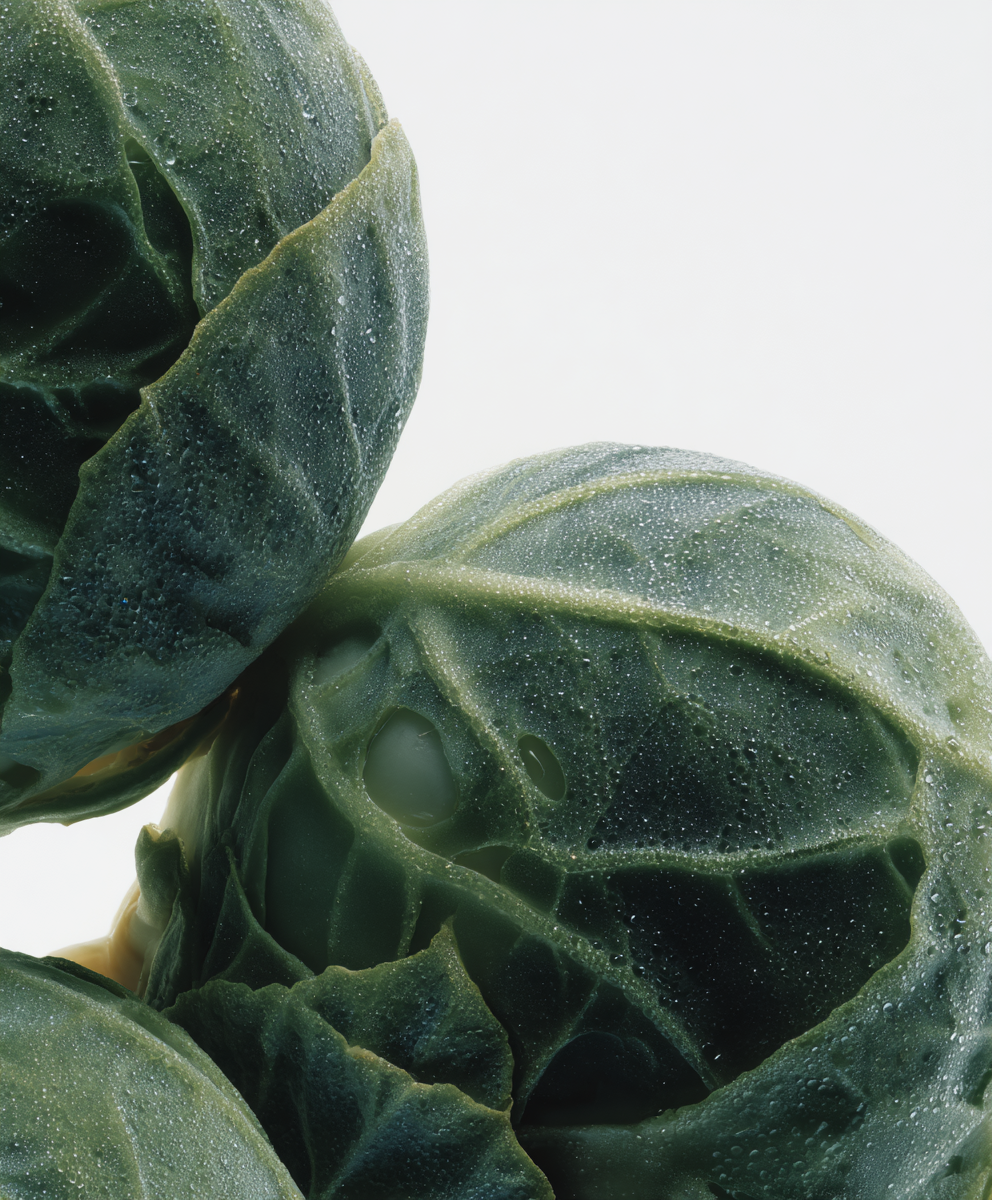 A close-up shot of several fresh brussels sprouts covered in water droplets against a white background.