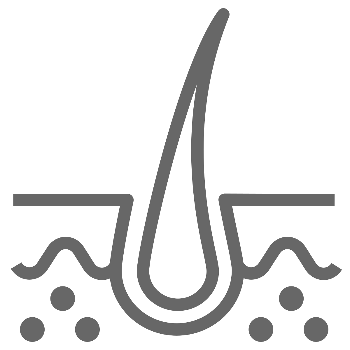 Illustration of a hair follicle with surrounding skin layers.