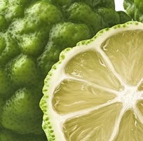 Close-up of a green, bumpy citrus fruit with a sliced section showing the interior.
