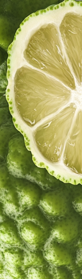 Close-up of a sliced lime on a textured green surface.
