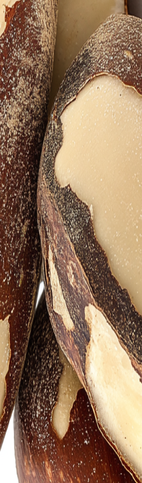 Close-up of sliced brown and beige seeds with textured surfaces.