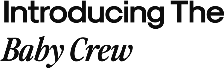 Text reading 'Introducing The Baby Crew' in black font.
