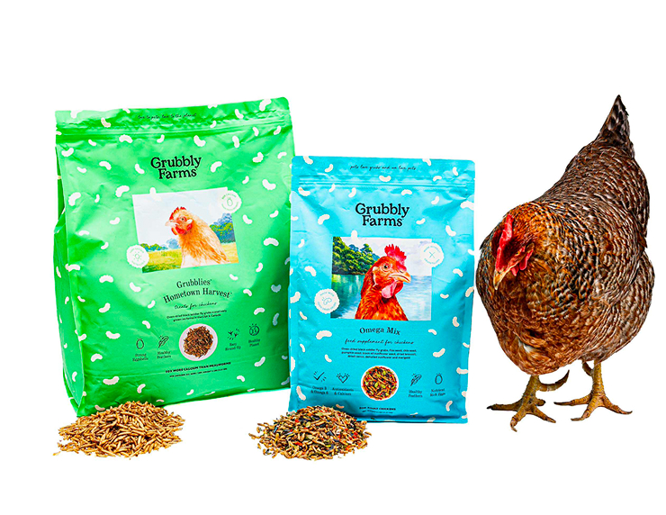 A live chicken stands next to two different bags of Grubblies Farms chicken feed with piles of feed.