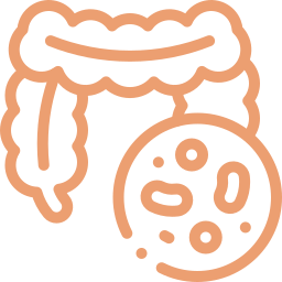 Illustration of intestines with a magnified view of bacteria.