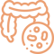 Illustration of intestines with a magnified section.