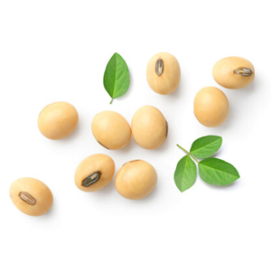 Scattered soybeans with green leaves on a white background.