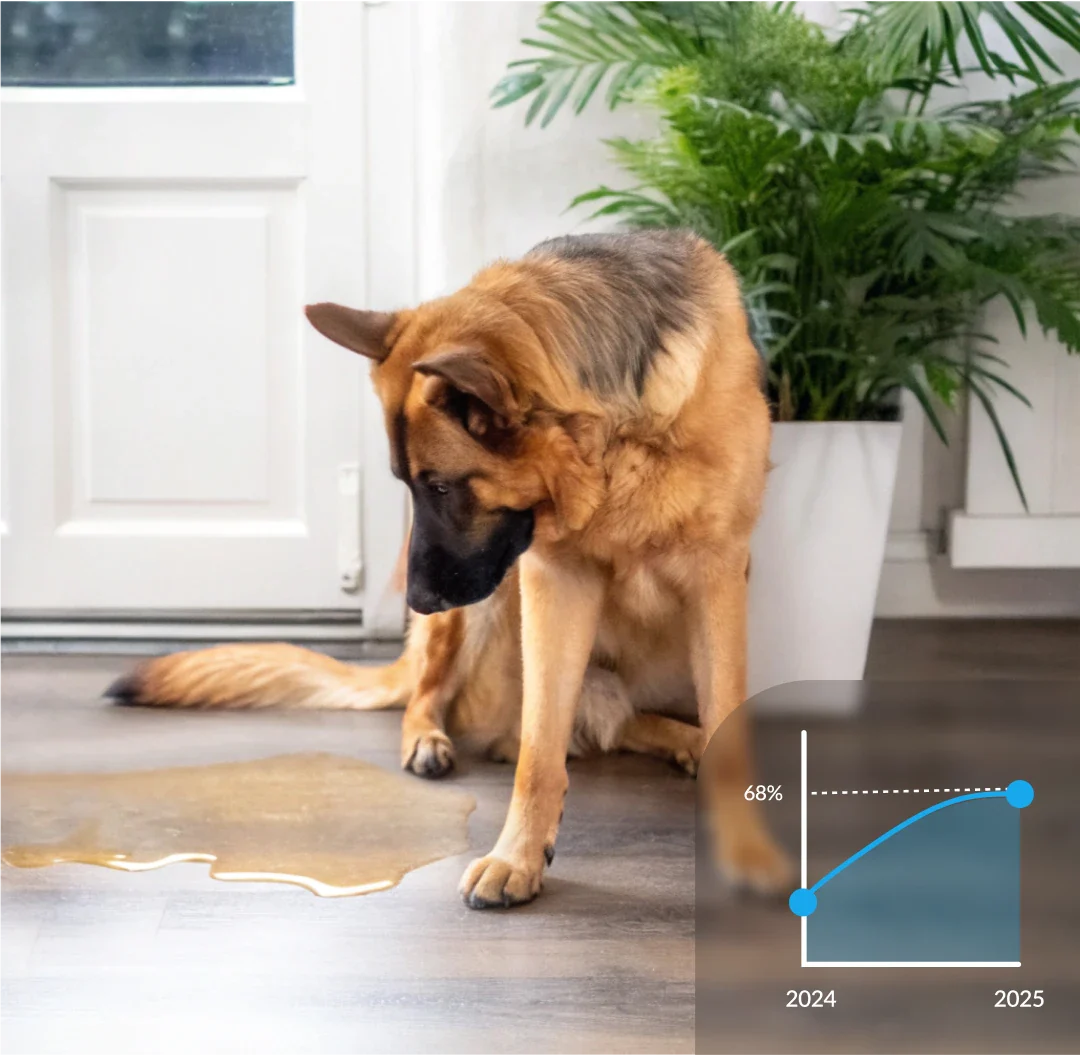 Dog looking at a puddle on the floor with a plant and graph overlay.