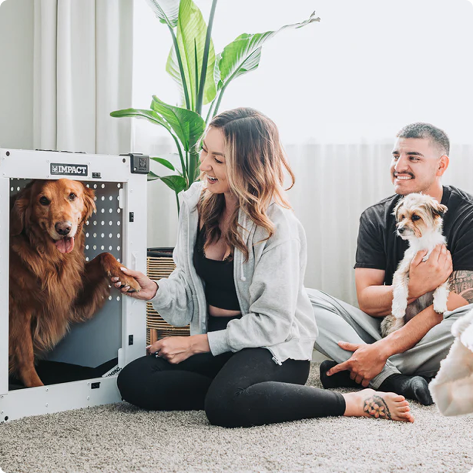 Two people with dogs, one in a crate, sitting on a carpeted floor.