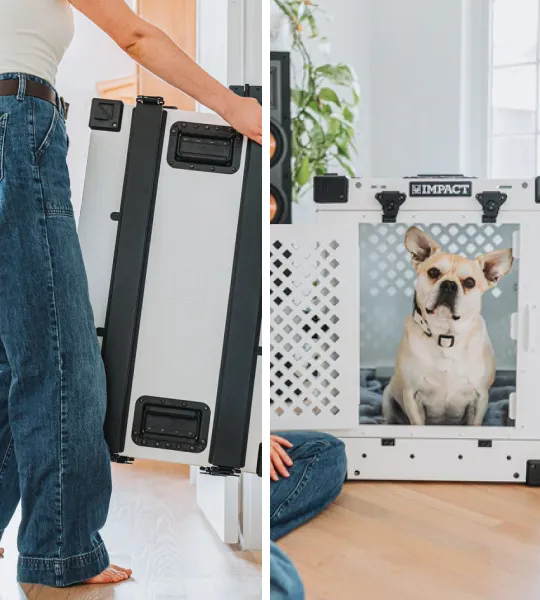 Person holding a folded pet crate; dog sitting inside a set-up crate.