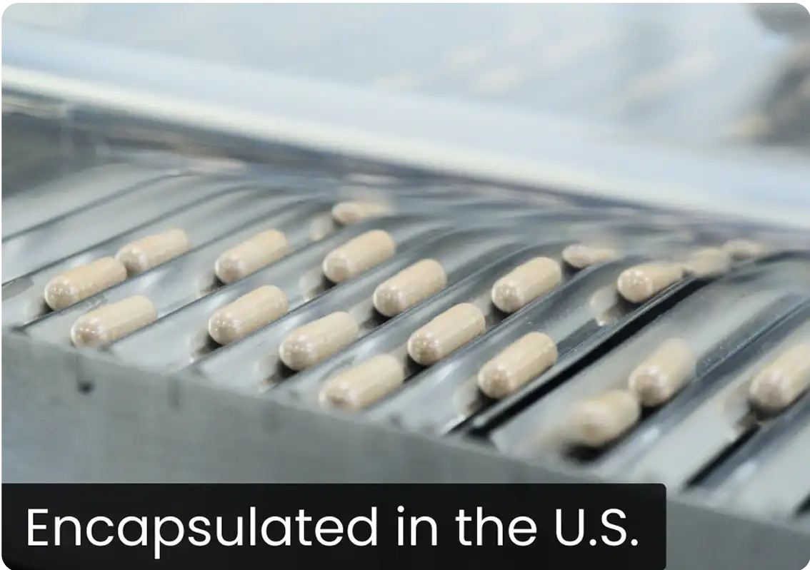 Conveyor belt with beige capsules and 'Encapsulated in the U.S.' text.