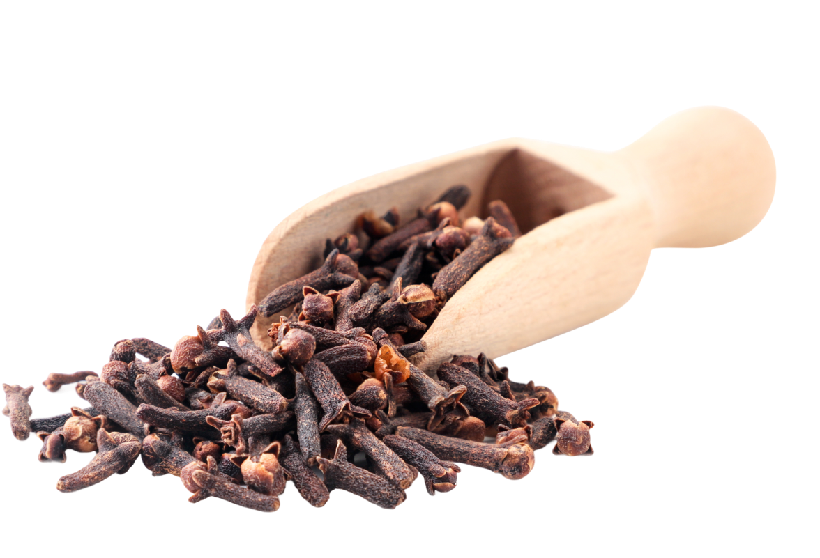 Wooden scoop with dried cloves spilling out.