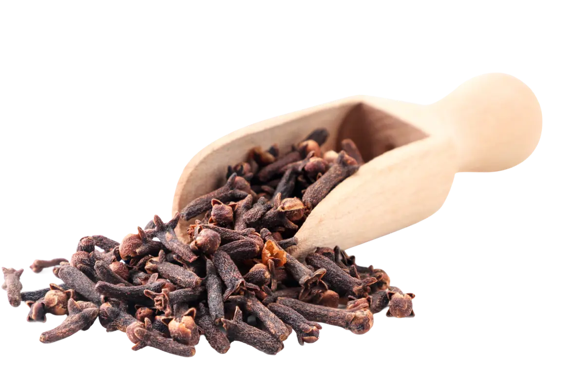 Wooden bowl and spoon with coriander seeds.