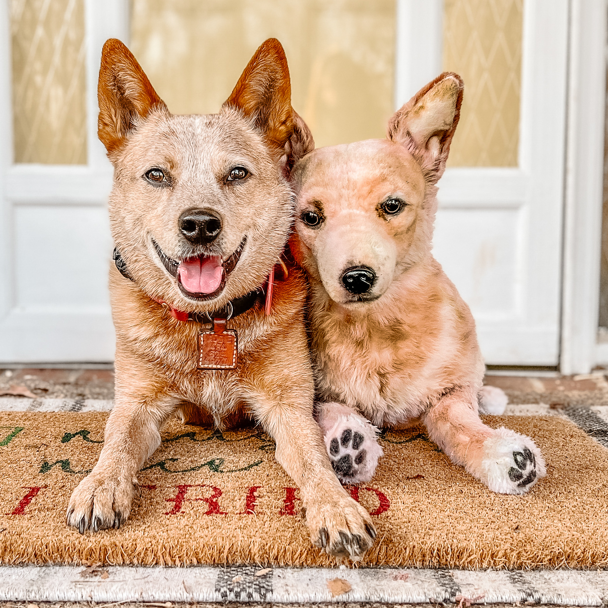 Two dogs sitting together on a welcome mat in front of a door.