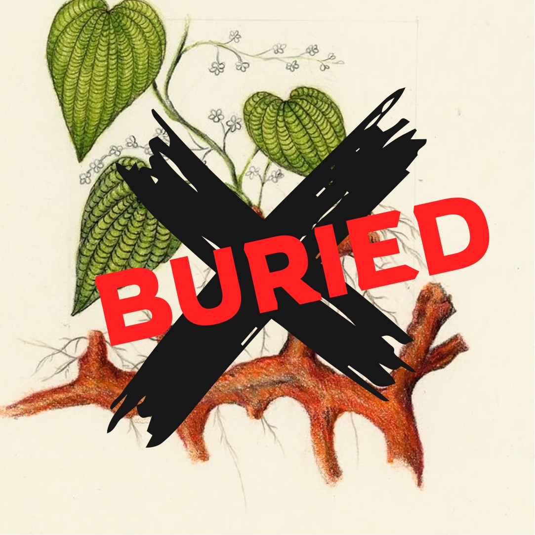 Illustration of a plant with 'BURIED' overlaid in red on a black X.