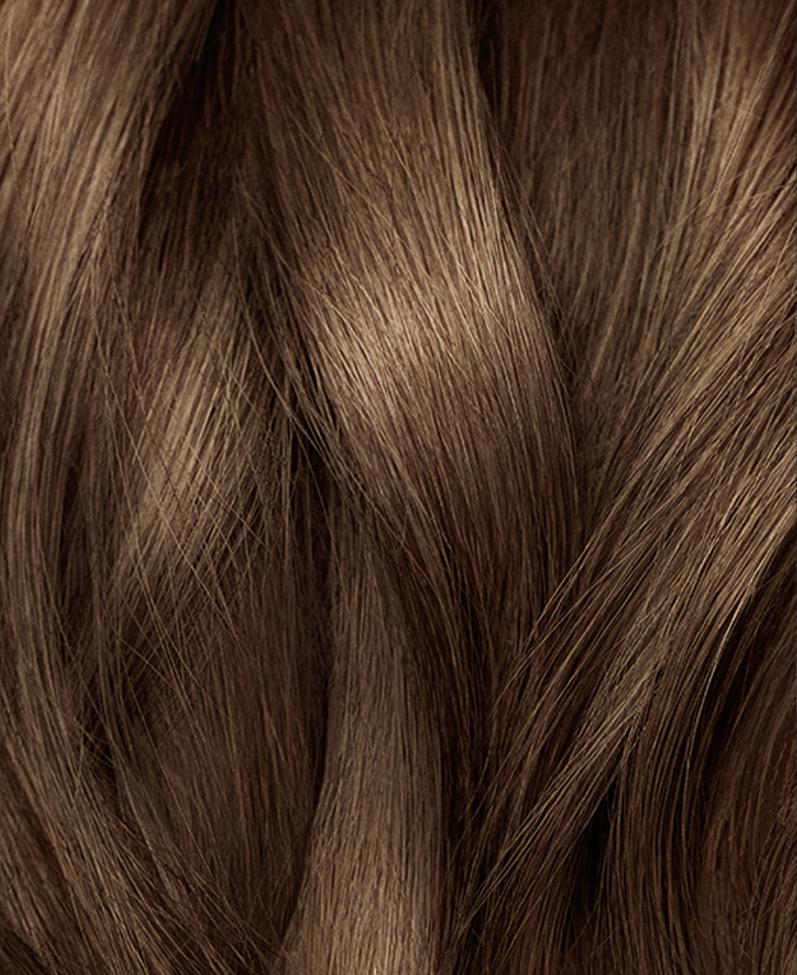 Close-up of brown hair strands.