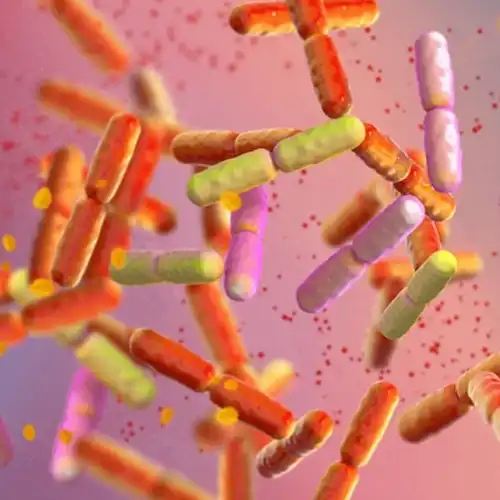 Colorful bacteria-like shapes floating against a gradient background.