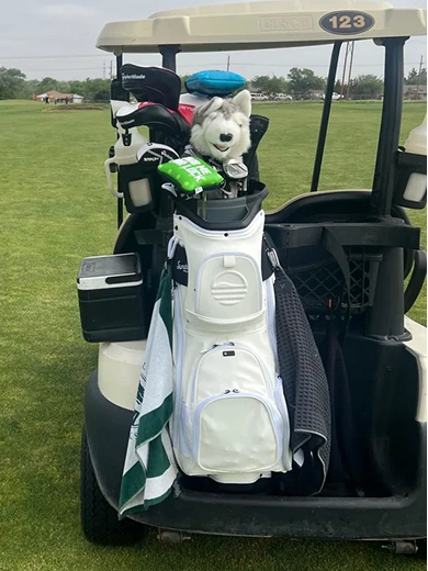 A white golf bag with a husky dog headcover attached to the back of a golf cart.