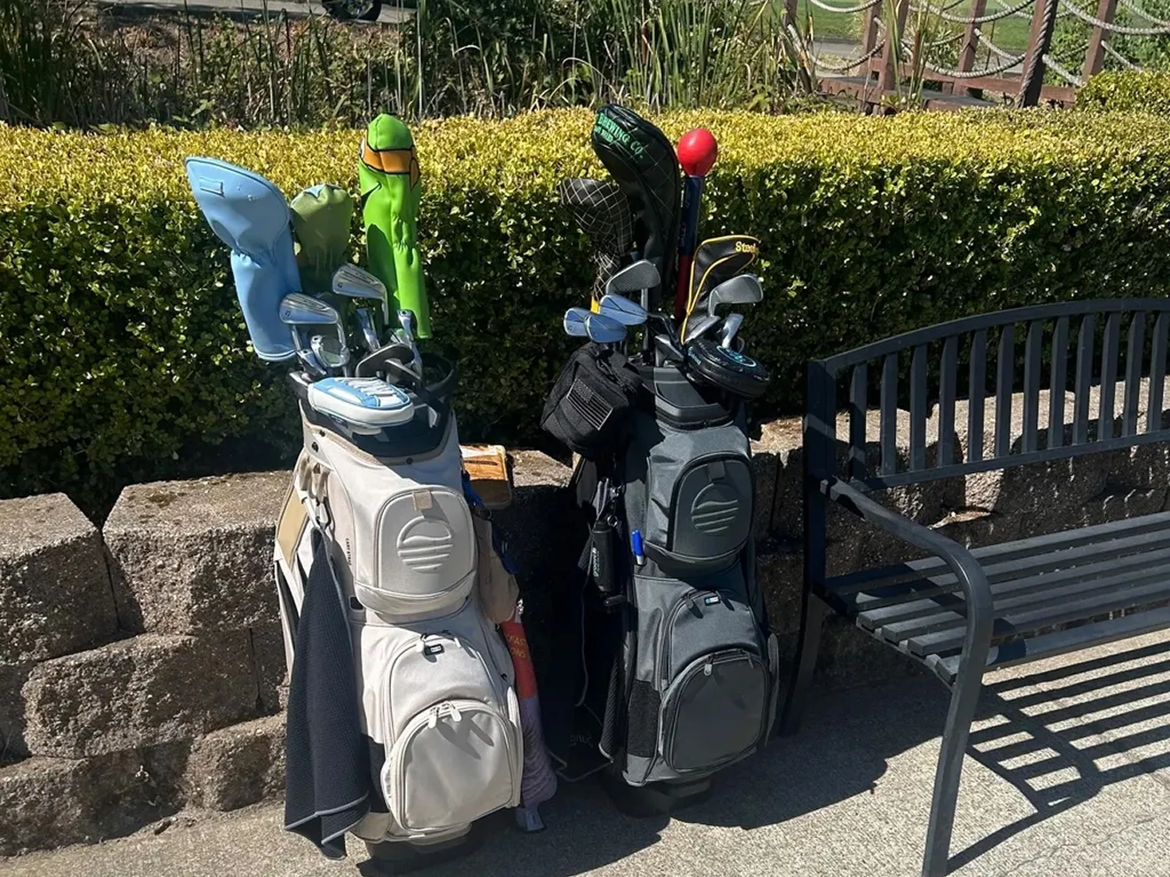 Two golf bags filled with clubs stand on a paved path next to a bench and a hedge.