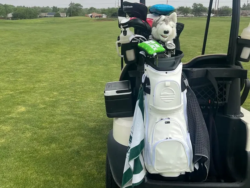 A white golf bag with a husky headcover sits on the back of a golf cart on a course.