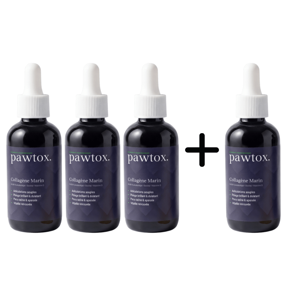 Three bottles of Pawtox Collagène Marin liquid, a plus sign, and a fourth bottle on a white background.