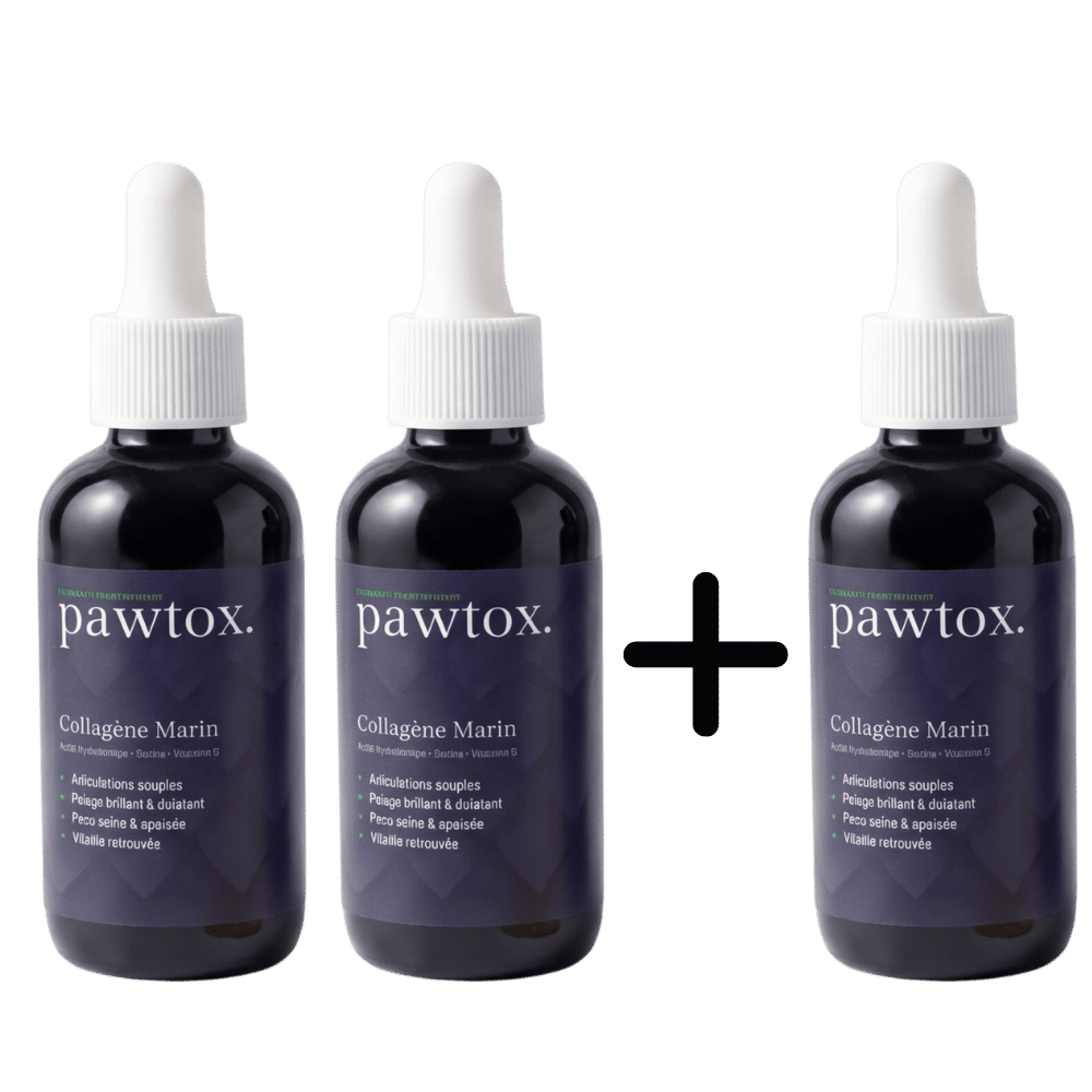 Three bottles of Pawtox Marine Collagen supplement with a plus sign, on a white background.