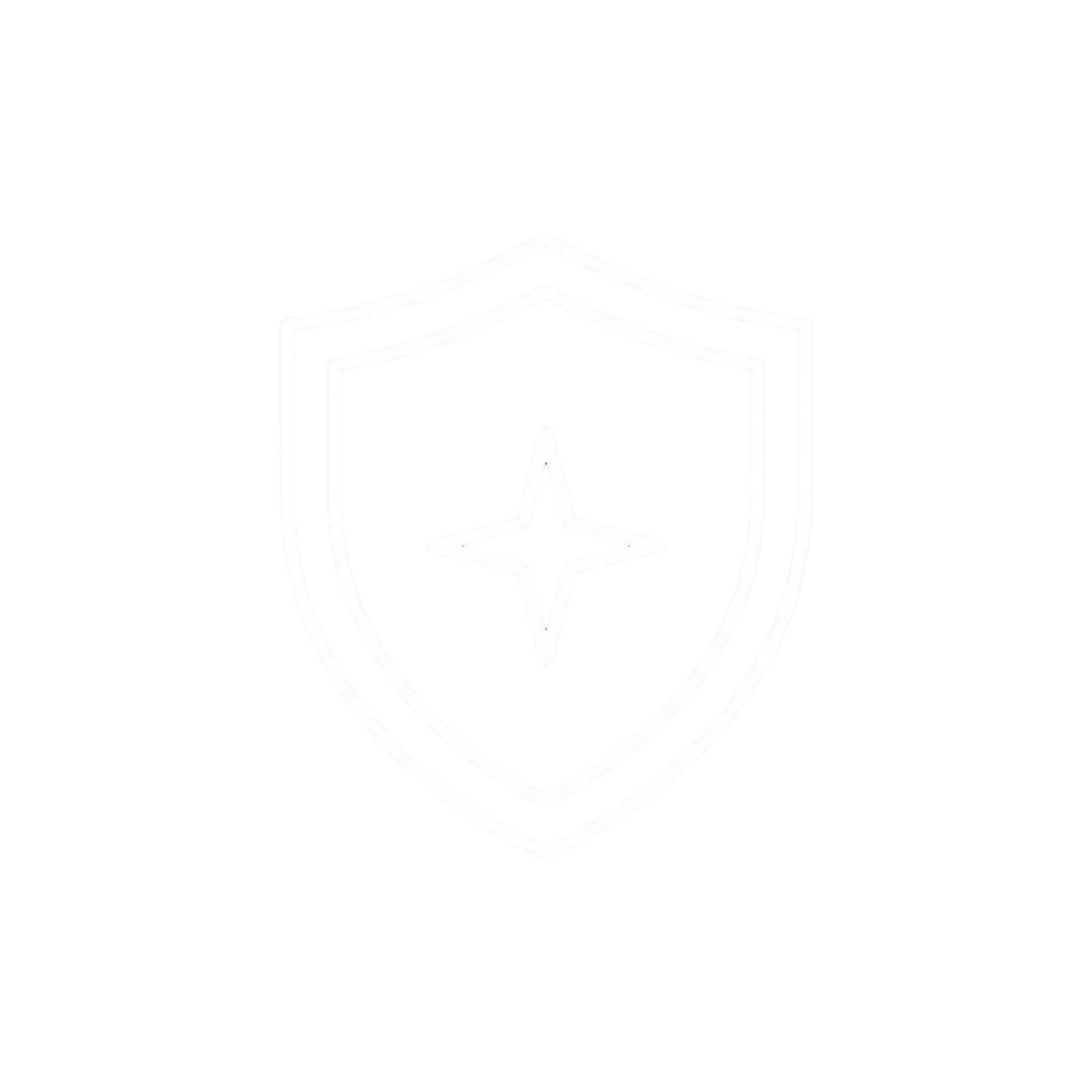 A white line icon of a shield with a four-pointed star inside.