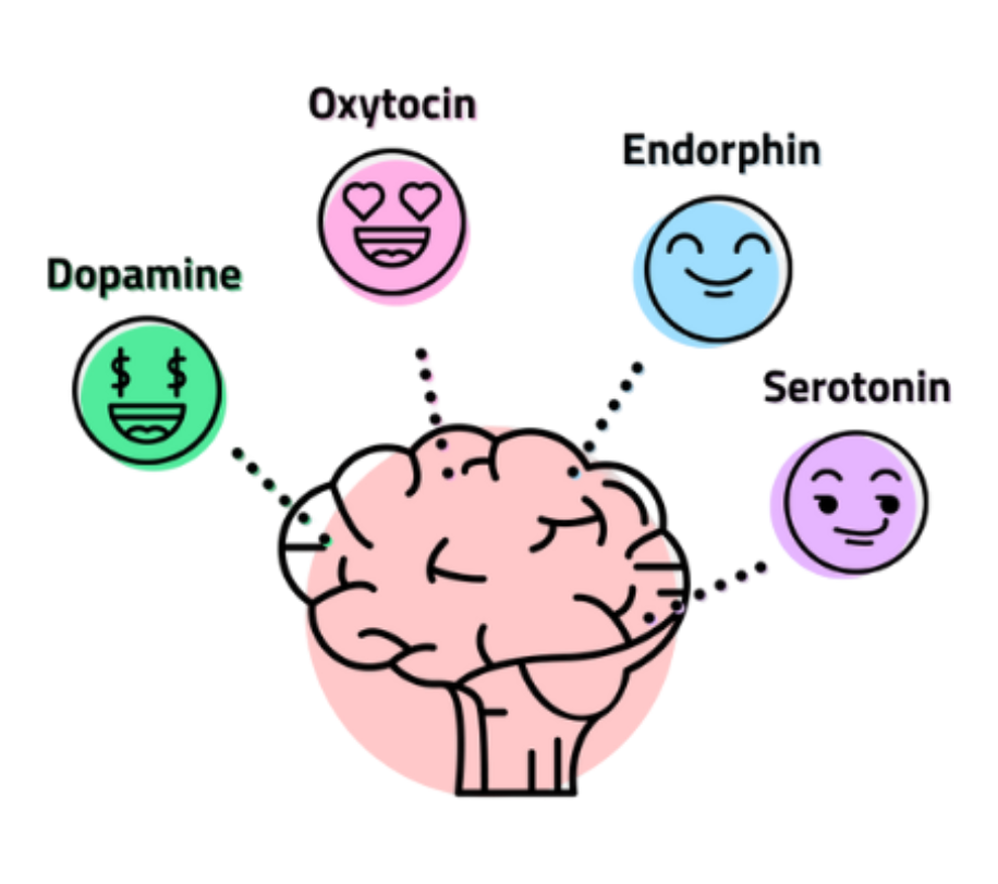 Illustration of a brain with dopamine, oxytocin, endorphin, and serotonin icons.
