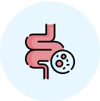 Illustration of intestines with a circular magnifying glass on a light blue background.